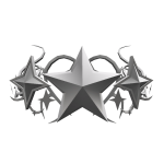 Silver Star Cyber Sigil Crown
