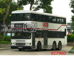 Anson bus and chinese people group