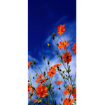 *!Flower group!*
