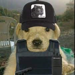PandasGamers