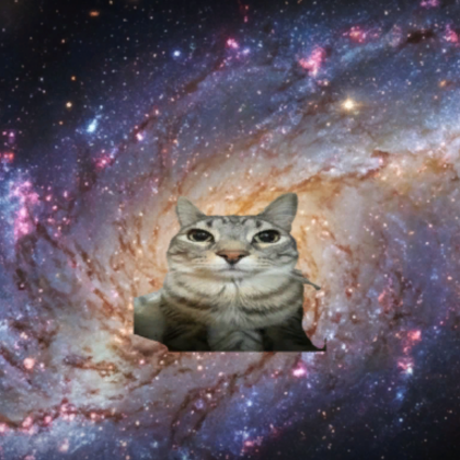 Galaxy Zazu Cat Meme Background
