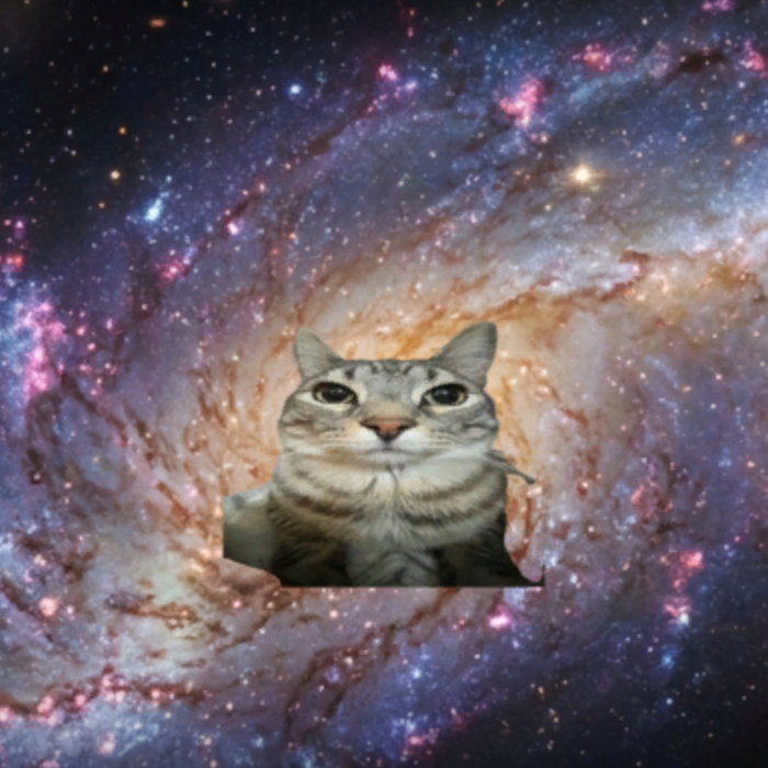Galaxy Zazu Cat Meme Background