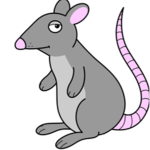 educated rats