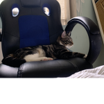 callumsdemise<3