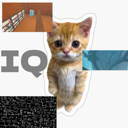 ElgatoCats IQ Obby