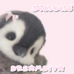DreamDiva