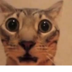 squombus