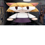 the high council of neco arc