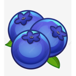 The blueberrie muffins