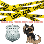Tampa Bay Florida Homeland Security
