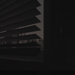 Shadow and the Light
