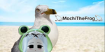*-MochiTheFrogs Official Group-*