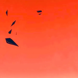 ✦✦✦✦