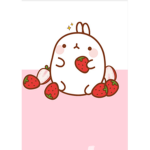 *-The Strawberry squad-*