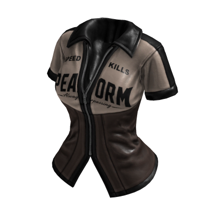 Y2K Sporty Streetracer Jacket (Brown Beige)