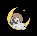 Die Panda Gruppe :o