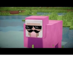 pik sheep rules fan club