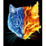 Team Battle Cats