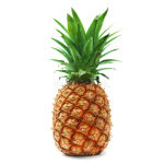 robux to you hi