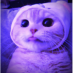 *ѕυиѕнιиє ℓσνєѕ*