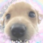 σмgтє∂