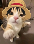Roblox group join it and enjoy
