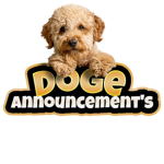 Doge announcements
