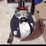 acs musket 😈 | 😱😱 No More ACS muskets..! 😱🤑