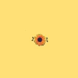 ☀