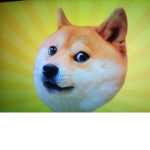 Doges_Once_and_for_all
