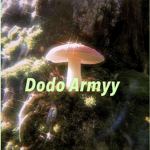 Dodo Armyy