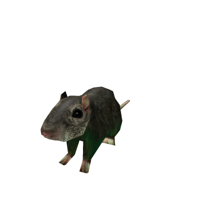 moving rat