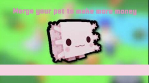 🐱 Pet Merge 🐶