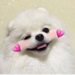 Tammy's Fan Group