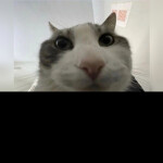 Fatal Test Place(challenge)