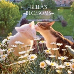 -Bella's Blossoms-