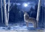 wolf clan