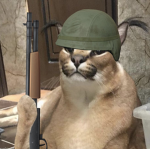 Floppa army PDF