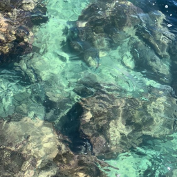 ╭・🌊˚ · .