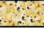 Doge Universe Studios