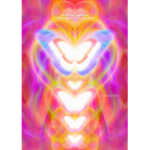 -ECLECTIA-