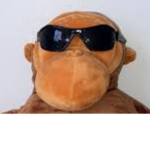 sigma monkeyss