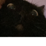 /vibes/