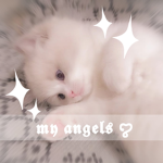 My-Angels <3