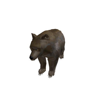 Bear