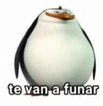 un grupo raro para raros