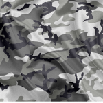 Military warfare NR