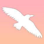 FlyRaven