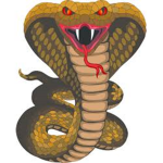 Cobra Clothing LLC