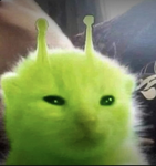 ivsfyy